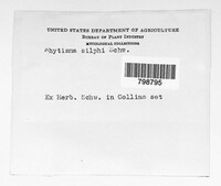 Image Associated With the Occurrence